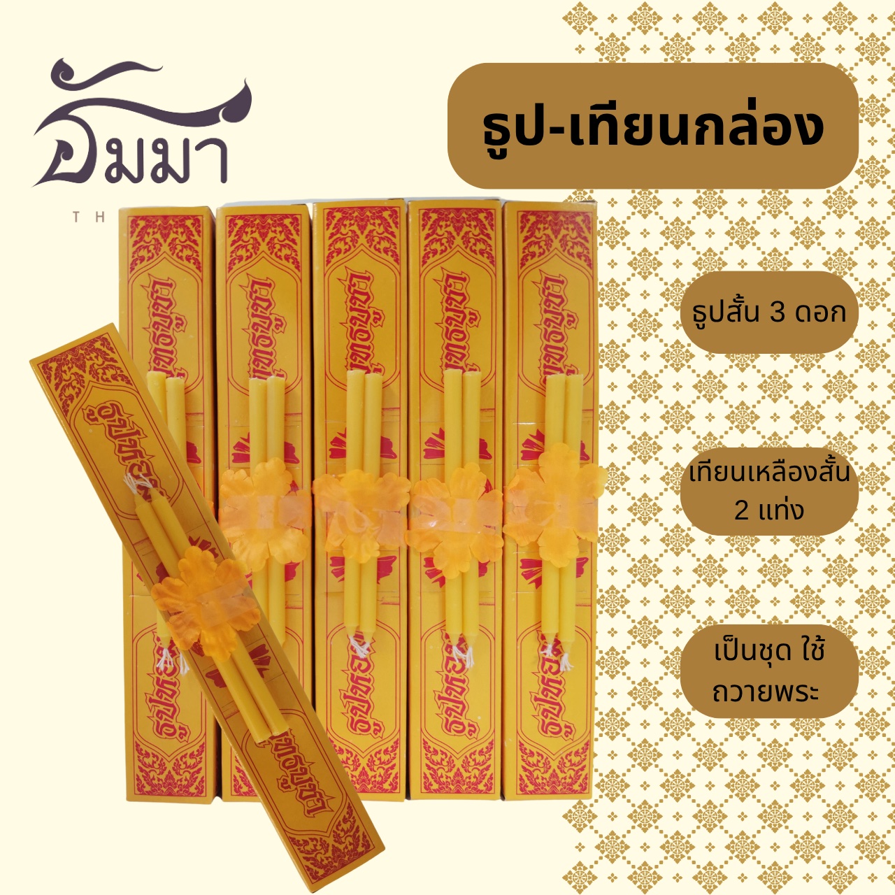 line_oa_chat_251028_091524_group_1